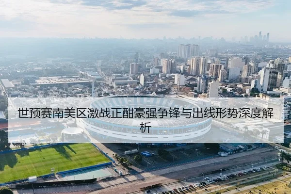 世预赛南美区激战正酣豪强争锋与出线形势深度解析