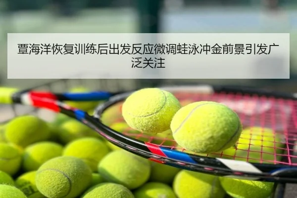 覃海洋恢复训练后出发反应微调蛙泳冲金前景引发广泛关注