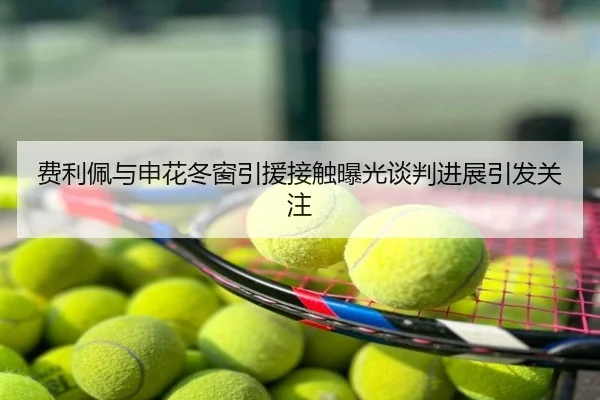费利佩与申花冬窗引援接触曝光谈判进展引发关注