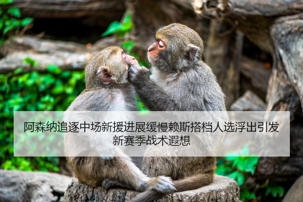 阿森纳追逐中场新援进展缓慢赖斯搭档人选浮出引发新赛季战术遐想